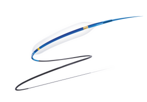 Excedo SC